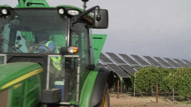 winesolar iberdrola