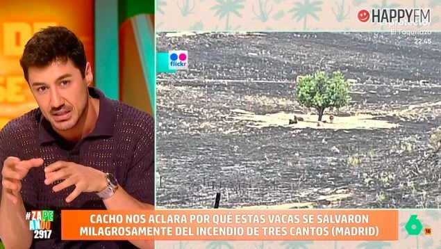 Francisco Cacho, el meteorólogo de laSexta que colabora en Zapeando (Atresmedia).