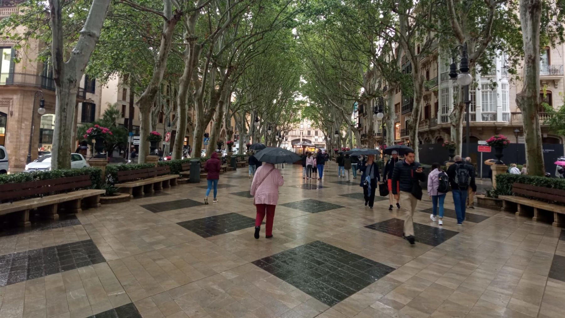 Personas paseando por el centro de Palma en un día lluvioso.