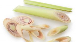 Lemongrass