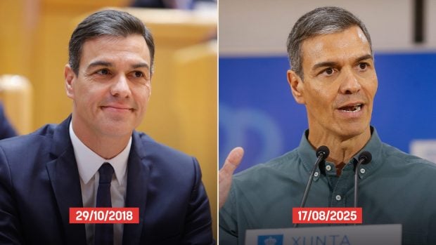 Pedro S&aacute;nchez imagen