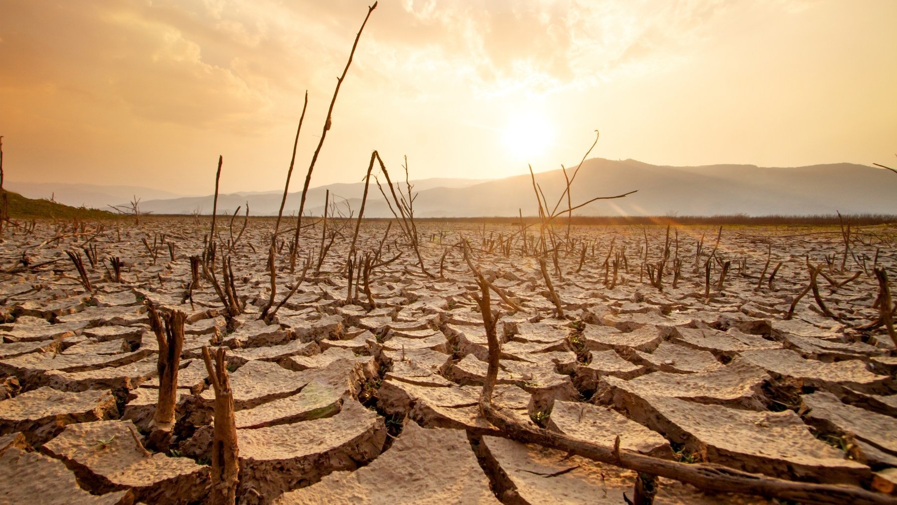 ¡Alerta en Chile! ¿Nos espera una nueva Edad Media? Expertos advierten sobre una crisis hídrica y alimentaria sin precedentes