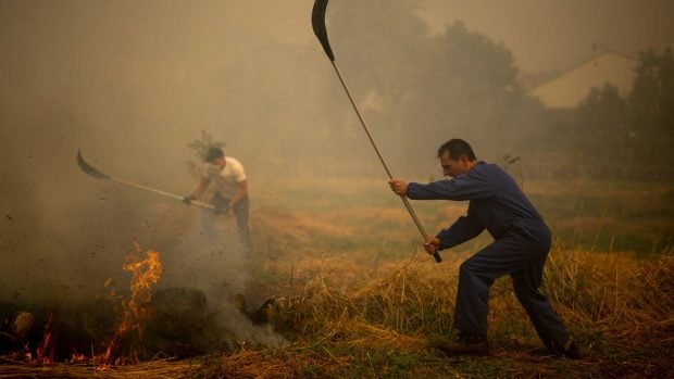 Apagando pastos incendio