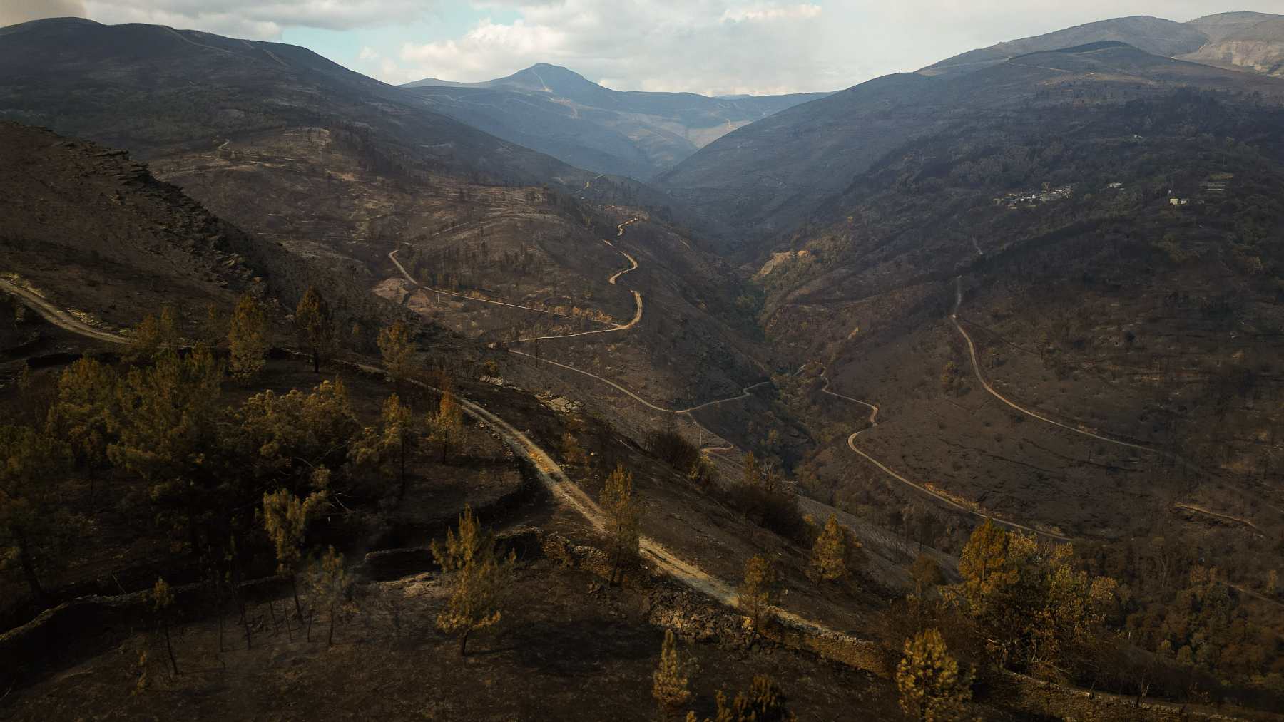 Vista aérea tras el incendio, a 20 de agosto de 2025, en Cernego, Ourense, Galicia (España). (Foto: Adrián Irago / Europa Press).