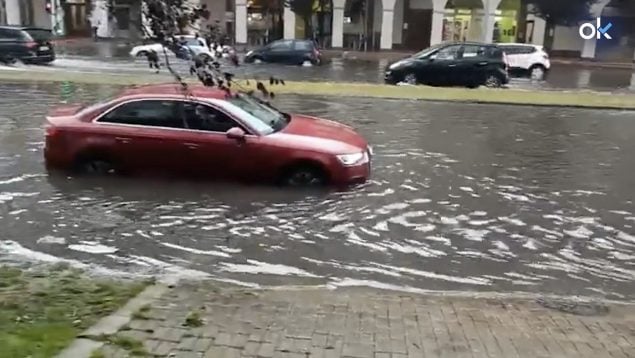 Ver vídeo