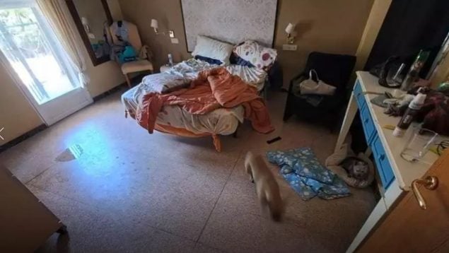 Elche, residencia ilegal, muerte, joven, discapacitados, Policía Local, Policía Nacional, sucesos