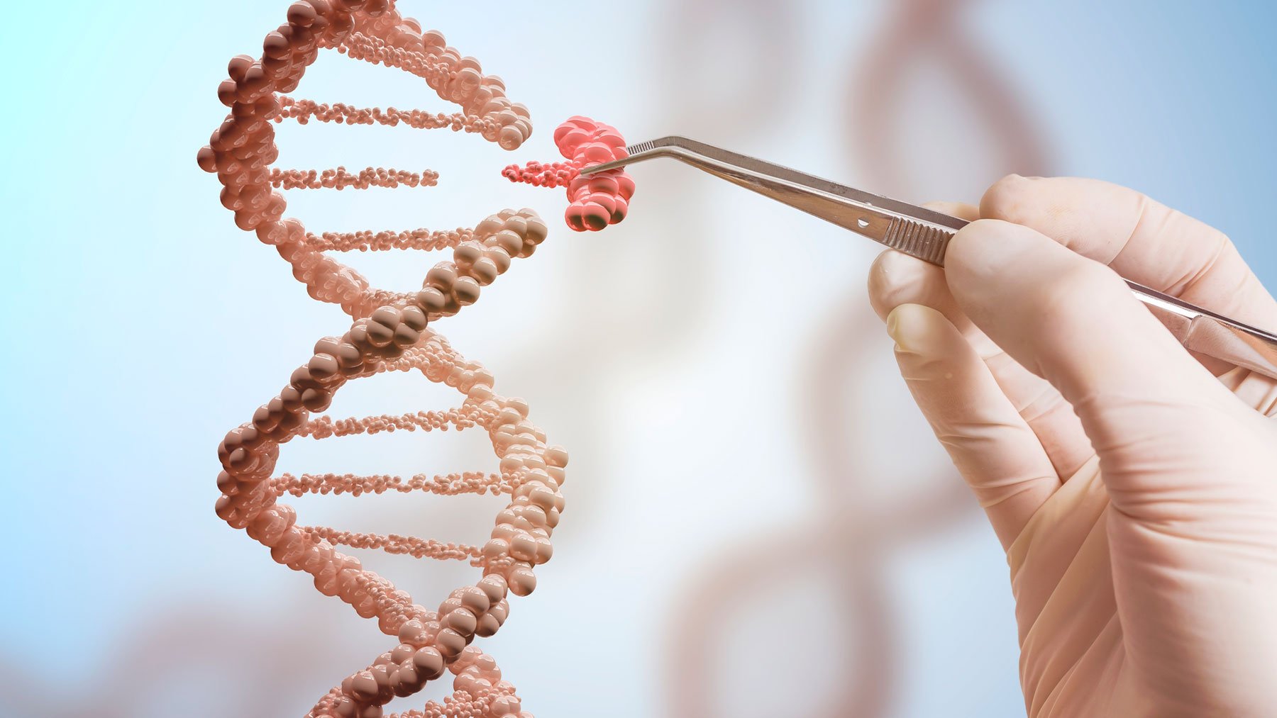 Corregir errores genéticos es una de las mayores aspiraciones de la ciencia.