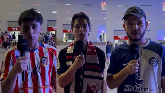 Ver vídeo