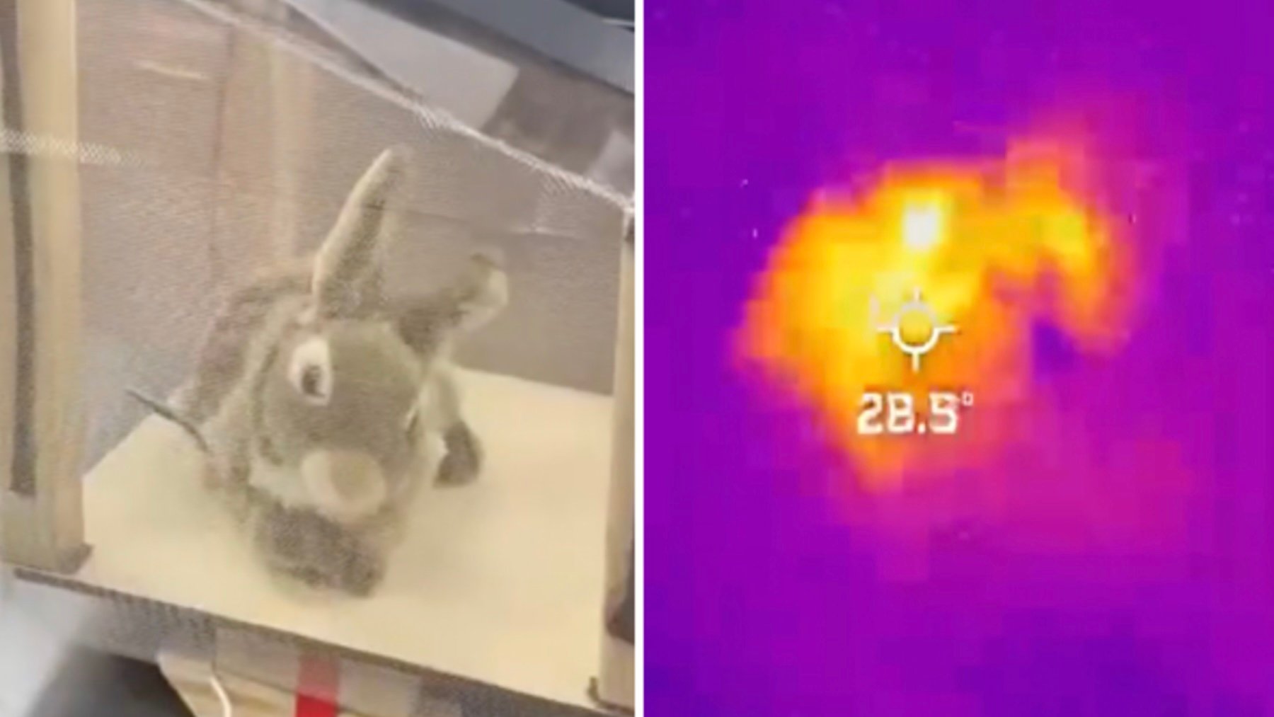 Una imagen de uno de los robots con forma de conejo, alimentado por energía solar y controlado a distancia. Imagen: South Florida Water Management District.