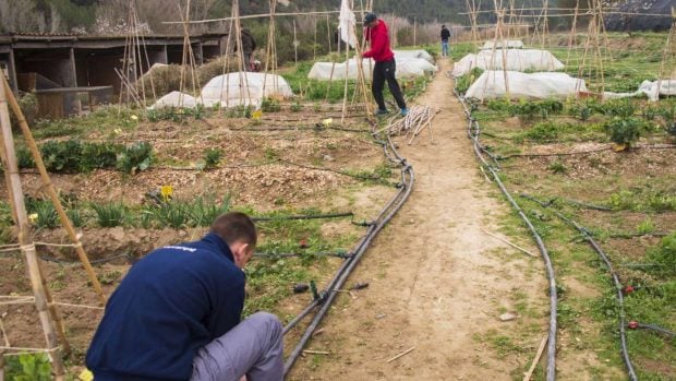 Los agricultores y ganaderos también apagan incendios 