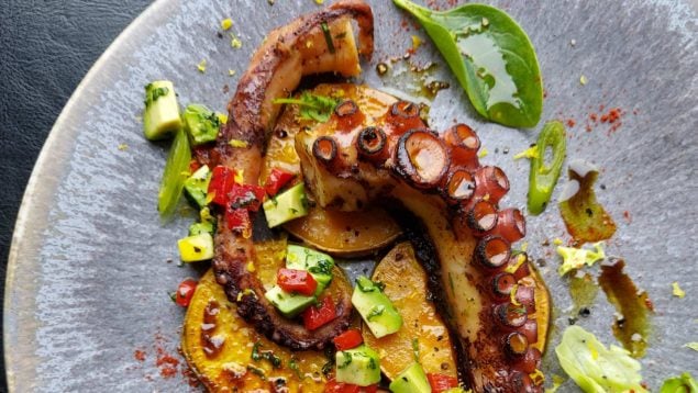 Pulpo