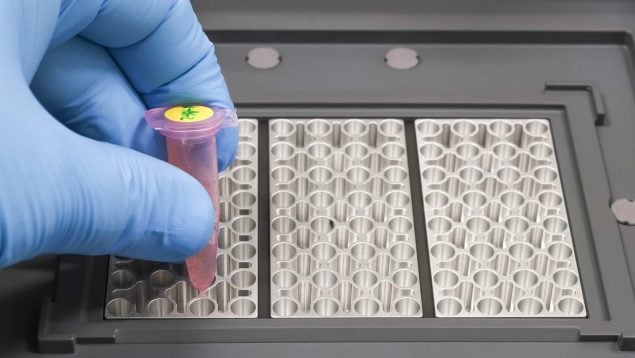 Investigación del microbioma y RNA terapéutico