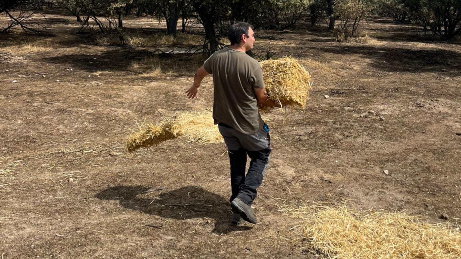 Los técnicos del Centro de Recuperación de Animales Silvestres (CRAS) Félix Rodríguez de la Fuente, del Gobierno regional, son los responsables de realizar esta tarea. . (Foto: Comunidad de Madrid).