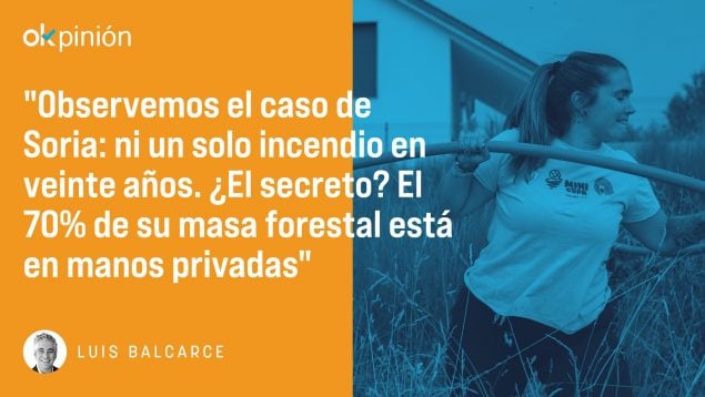 ¿Y si privatizamos los bosques?
