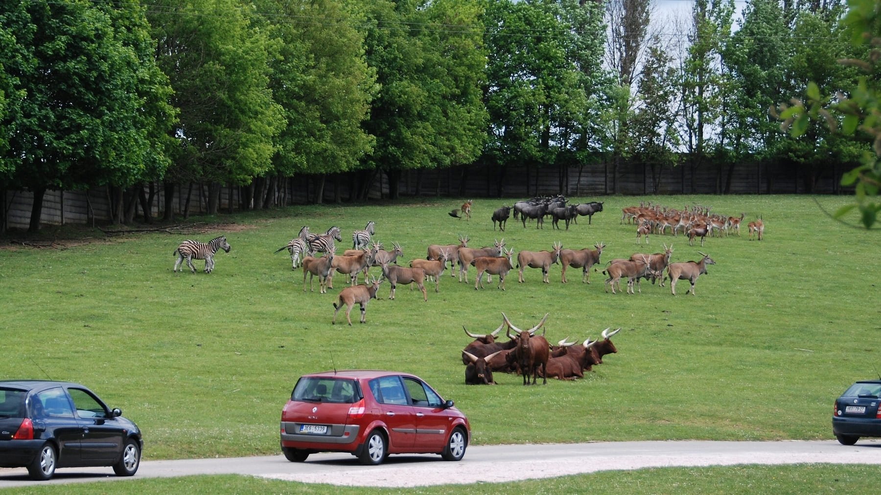 Parque Safari Dvr Králové.