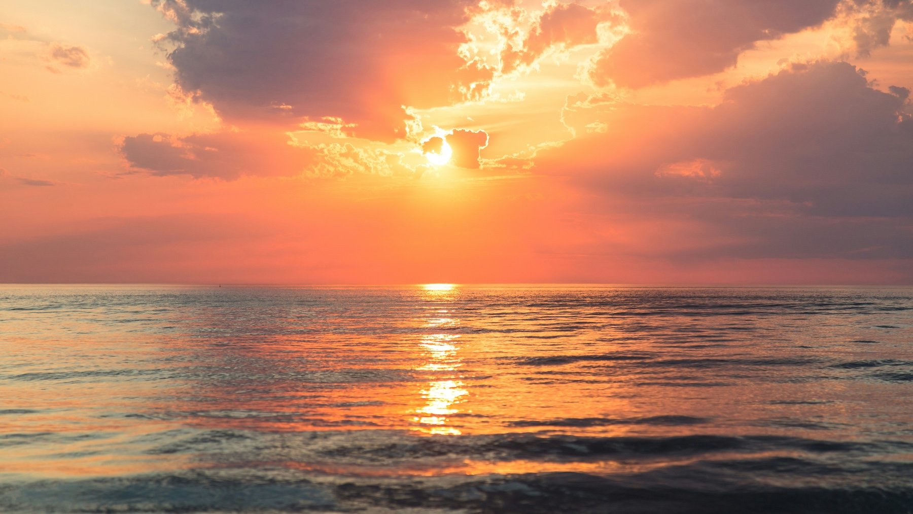 Foto: Unsplash
