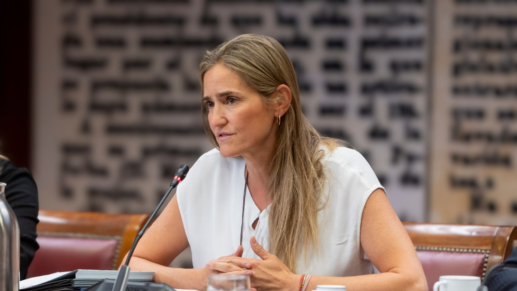 Aagesen también culpa a las autonomías del PP de «no dimensionar sus recursos» contra el fuego