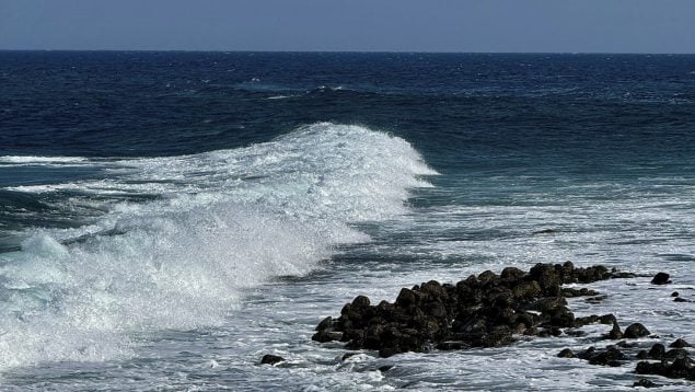 Tesoro marino