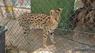 zoo privado