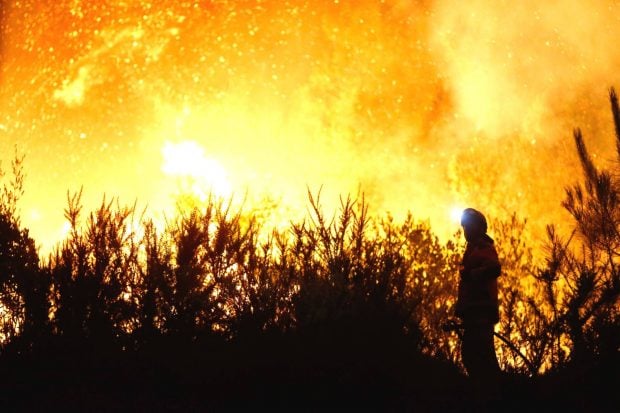bombero incendio forestal