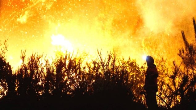 ola incendios bombero incendio forestal