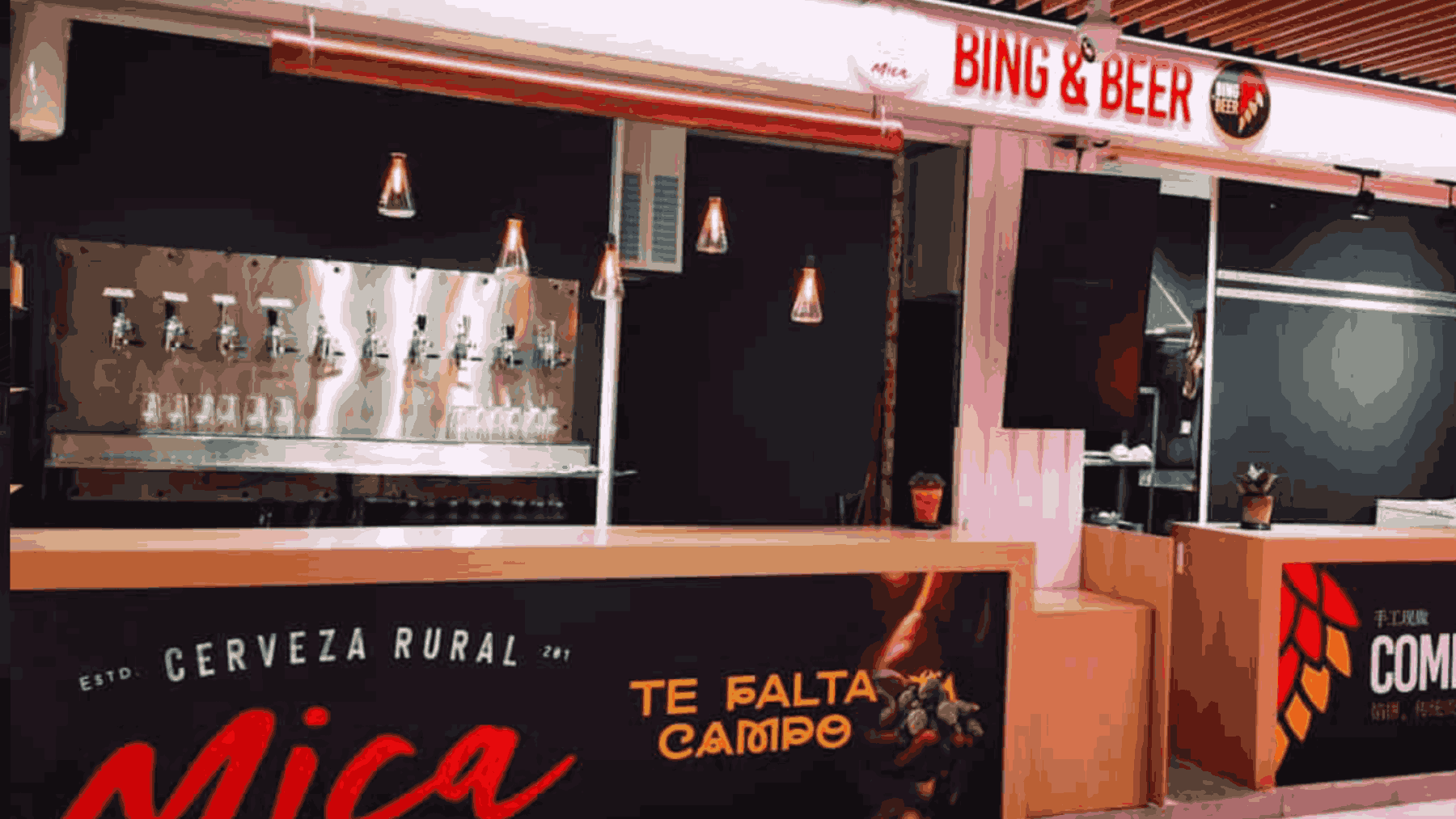 Bing & Beer cerveza artesanal