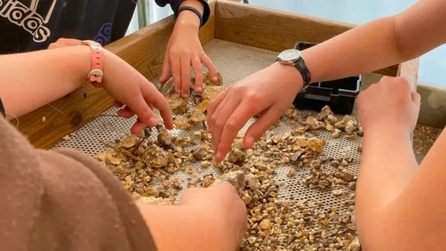 Aparece un sello bíblico de hace 2.600 años en Jerusalén, descubrimiento arqueológico en Jerusalén, hallazgo arqueológico sobre La Biblia.