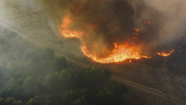 Patrones naturales de los incendios