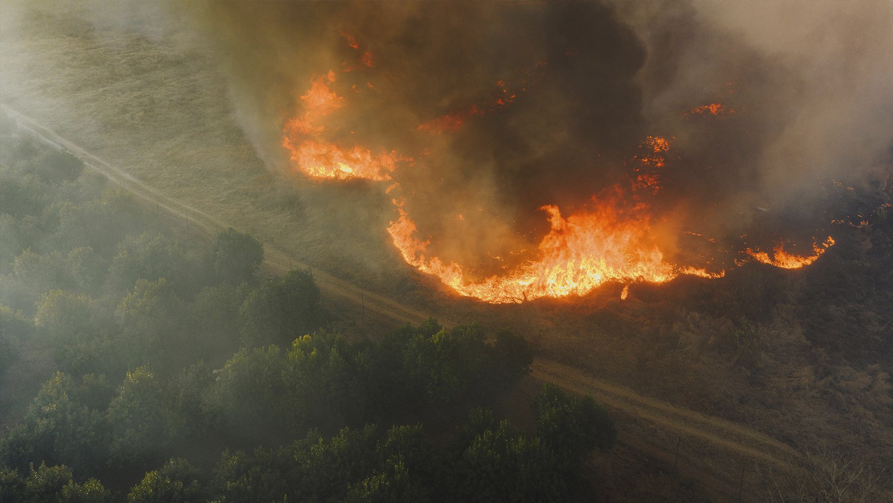 Los científicos piden restaurar los patrones naturales de los incendios para evitar la destrucción de los ecosistemas
