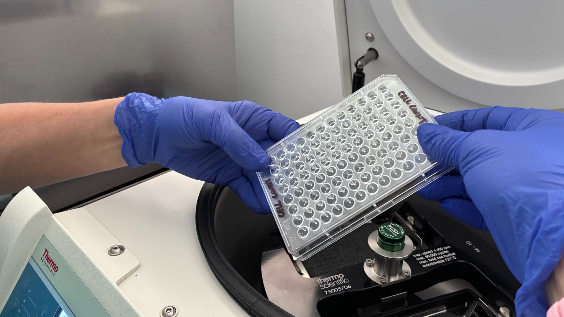 Córdoba da un paso adelante en el uso de CAR-T para investigación
