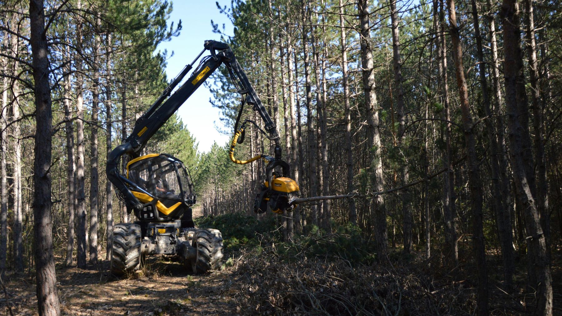 Maquinaria forestal realizando labores en un bosque andaluz. (Foto Junta de Andalucía).