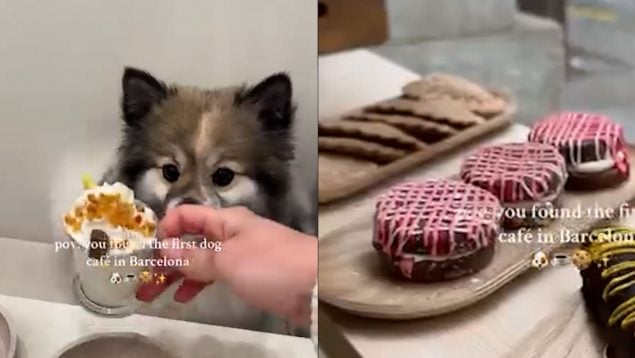 Ver vídeo
