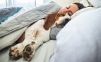 dormir con tu perro