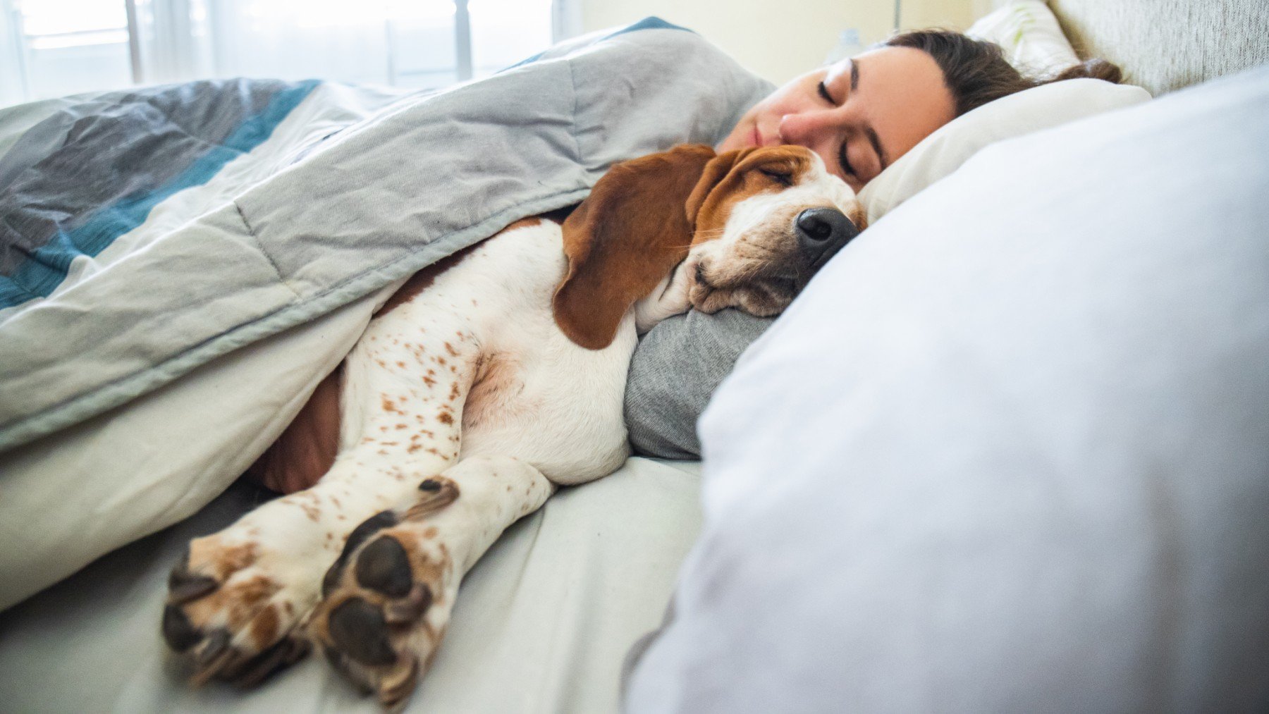 Si duermes con tu mascota en la cama tiene estas 7 características: lo dicen los psicólogos expertos