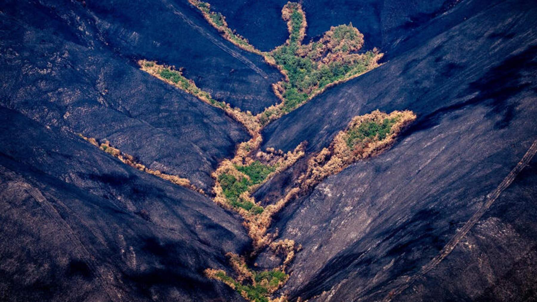 Taas la ola de incendios se ve un paisaje desolador. Pico Montouto, Serra dos Cabalos. (Orense). (Foto: Pedro Armestre / Greenpeace).