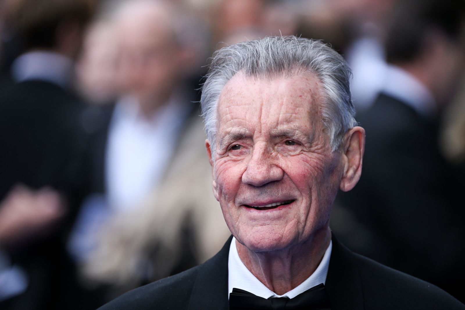 Michael Palin (Getty)