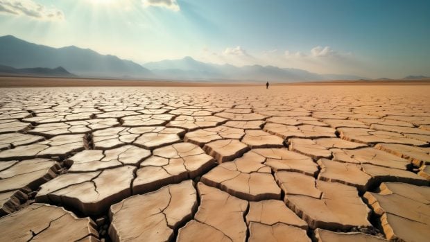 Veroño, humo, basura y sequía: las cuatro nuevas estaciones del año