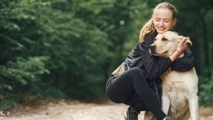 Perros, mascotas, animales, curiosidades