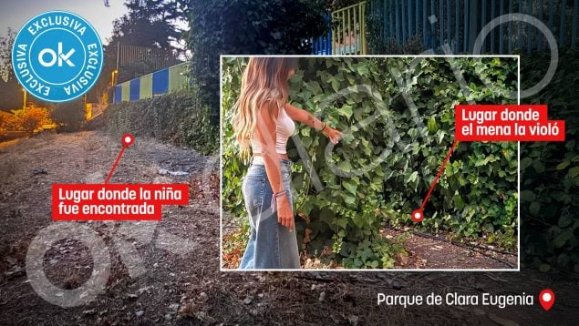 Ver vídeo
