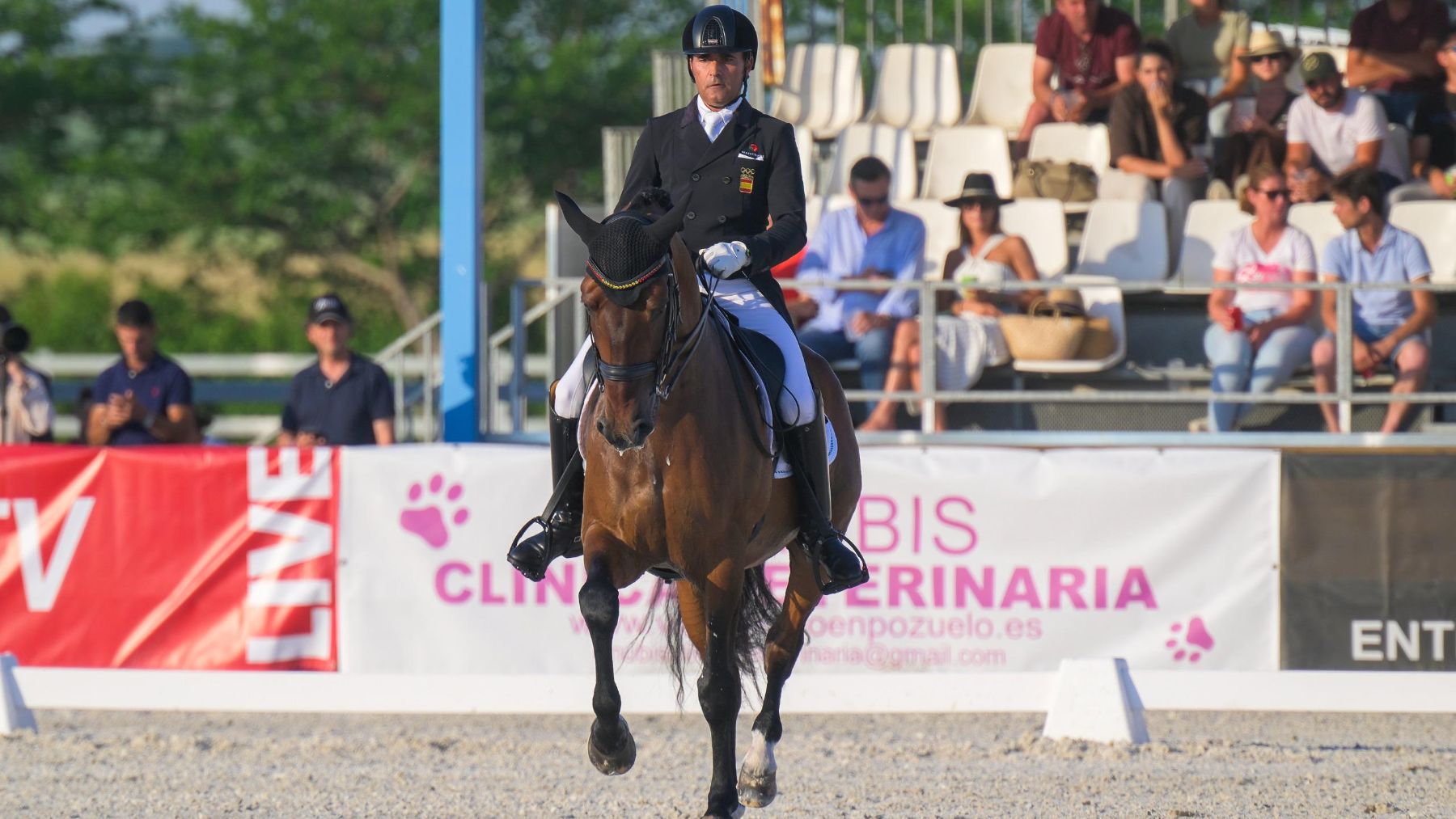 España, también a la cola en el Campeonato de Europa de Doma Clásica
