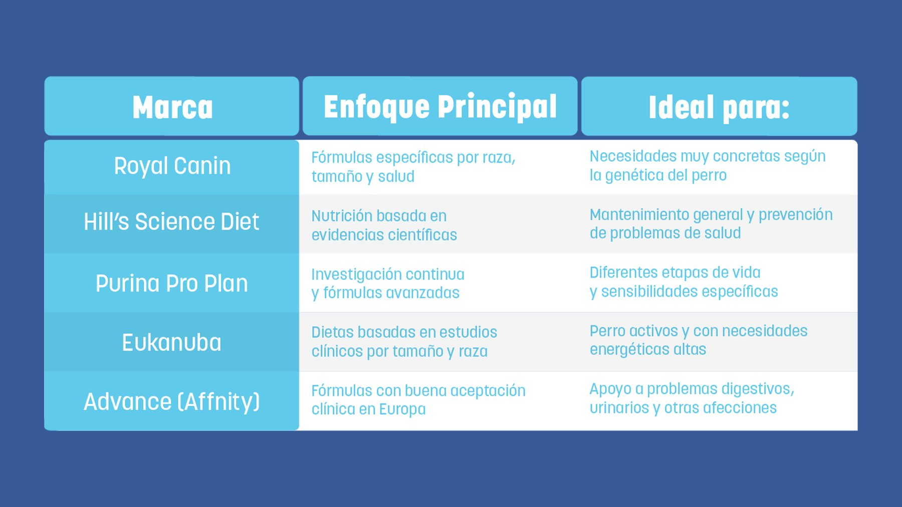¿Cuál es la mejor alimentación para los perros? Los Top 5 mejores alimentos
