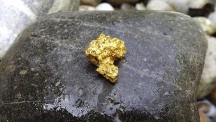 Cómo llega el oro