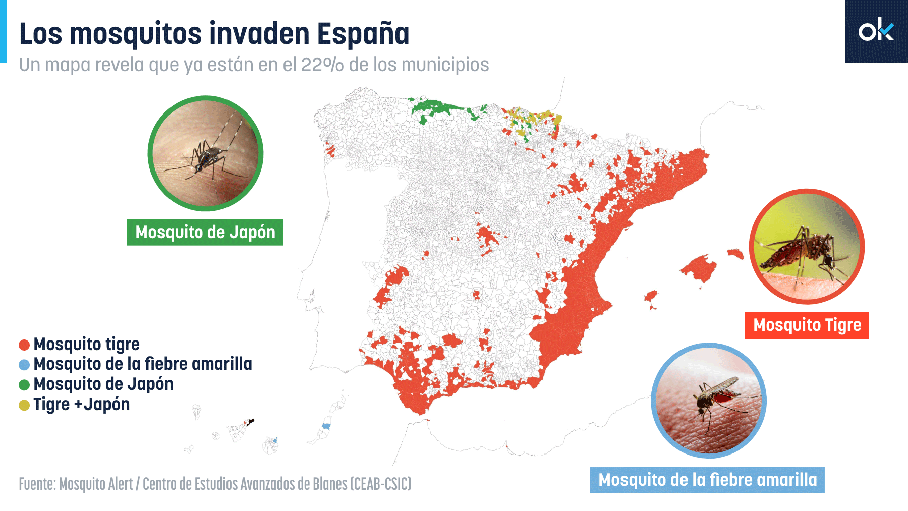 El arco mediterráneo es el más afectado por la presencia del mosquito tigre.