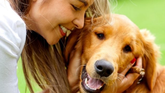 Alargar la vida del perro