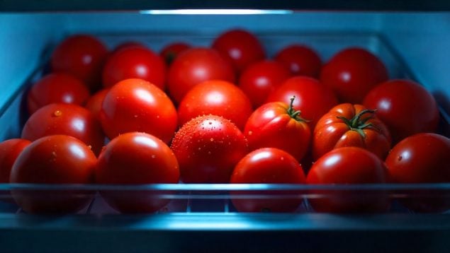 Tomates, nevera, curiosidades