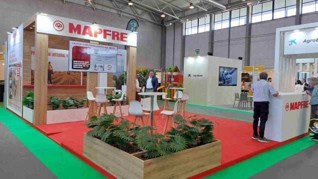 MAPFRE