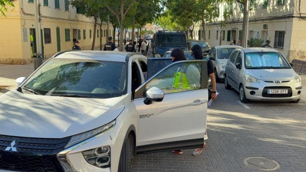 droga redada tribuns mallorca