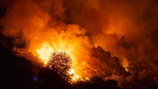 Incendios hectáreas