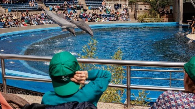zoo Aquarium Madrid