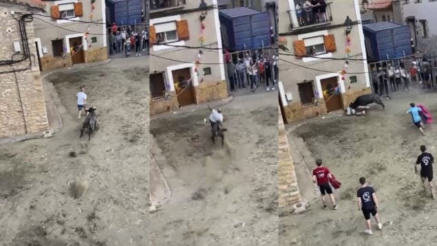 Ver vídeo